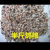 直播专拍链接鸽粮半斤 信鸽 幼鸽 鸽子活体 小鸽子 赛鸽 成绩鸽后代 乳鸽 一对包活