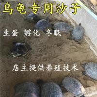 5斤沙 天然乌龟沙子冬眠专用沙产蛋孵化细沙河沙冬眠苔藓用品乌龟沙冬眠