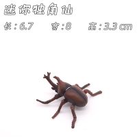 迷你独角仙 仿真蜘蛛模型蜈蚣蚂蚱蝴蝶螳螂独角仙蜜蜂蝎子七星瓢虫玩具昆虫