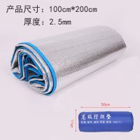 双面铝膜厚2.5毫米 195*100 防潮垫宿舍睡垫户外野餐垫子双面铝膜加厚防潮垫便捷帐篷地垫单人