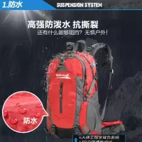 红色 40升 40升旅行双肩休闲户外男女时尚大容量旅游徒步露营轻便防水登山包