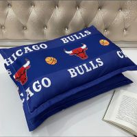 篮球公牛(信封款) 套装(1只枕芯+1只枕套)可拆洗 特价枕头套装学生枕头单人宿舍可爱情侣卡通枕头芯颈椎枕头一只装