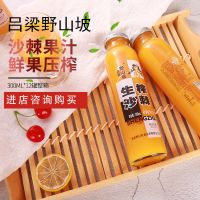 分享装300ml*8瓶 野山坡生榨沙棘果汁25%果汁含量300ml*8瓶玻璃瓶装沙棘生榨果汁