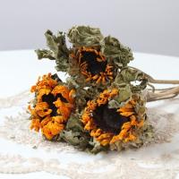 风干向日葵三枝 干树枝 云南干花花束天然烤干向日葵风干真花满天星带包装送人客厅插花