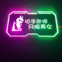 招手即停 (绿+粉)幻彩 发光车牌改装电摩电动车摩托车发光尾牌个性装饰尾牌幻彩发光车牌