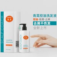 300ml 植育青蒿控油洗发液300ml
