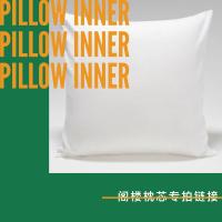 45X45cm(适合40x40cm枕套) 其他规格 饱满高弹不变形抱枕芯腰枕芯靠枕芯靠垫抱枕靠垫芯