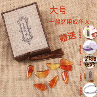 琥珀色(大号)送14礼品 古筝遥指练习指甲古筝演奏指甲考级表演指甲弹古筝指甲学古筝指甲