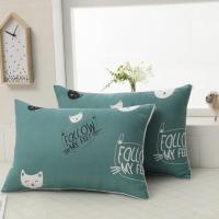 绿色猫咪1个[枕芯加枕套] `? 枕头枕芯加带枕套一套装单个棉质成人单人一对可爱夏季花边忱套和