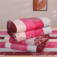 草果树 70x100cm [午睡毯-童毯] 夏季法兰绒毯子夏天盖毯午睡毛巾小被子垫床单人薄款空调珊瑚毛毯