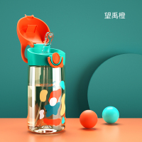 望禹橙 450mL 儿童水杯宝宝吸管杯喝直饮水壶ppsu材质婴儿外出携带喝奶家用女童