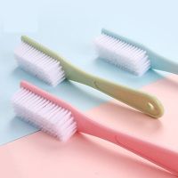 1个硬毛刷 洗衣刷软毛家用刷子洗鞋软毛刷刷鞋的鞋刷套装衣服小神器鞋油不伤