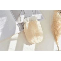 米色 透明袖套秋冬蕾丝防尘防污韩版双层成人可爱学习短款日用套袖护袖