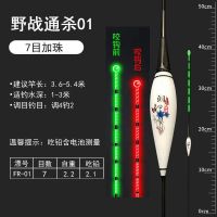 阴天加珠尾A款(吃铅约2.1) (不变色款)2支装+2粒电池 超高灵敏重力感应电子漂超亮夜钓浮漂咬钩变色漂阴天尾鲫鱼夜光