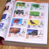 识字书随机1本(380字) 儿童识字大王2280字幼儿园看图识字书3-5-6岁学前班认字早教图书