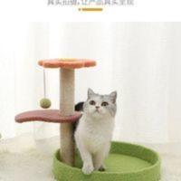 多彩小爬架猫猫爱玩 喜欢 多彩小爬架猫猫爱玩 喜欢