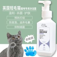 英短/蓝猫沐浴露520ml 英短/蓝猫沐浴露 英短蓝猫沐浴露成幼猫咪专用杀螨除菌蚤香波洗澡沐浴液520ml