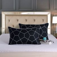 立体 枕头套1个(不包括枕头芯) 单人枕头套装学生宿舍男女寝室家用一对装拍2枕芯带枕套简约枕套