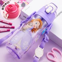 (直饮)紫苏菲600ML 迪士尼儿童水杯夏季小学生上学专用直饮水壶女童可爱防摔吸管杯子