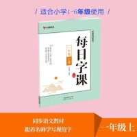 一年级上册+送1本听写随堂 小学生字帖楷书人教版同步教材每日一练一二三四五六年级同步年级