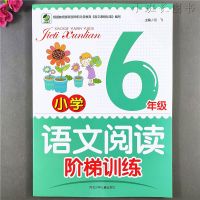 六年级语文阅读阶梯训练 小学六年级阅读理解专项训练小升初复习资料必刷题课外阅读训练
