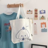 苹果狗单肩 日系原宿韩版古着单肩女斜挎包韩国ins复古大容量学生上课帆布包