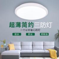 白色 24cm白光18w LED超亮超薄防蚊防水阳台卧室厨房客厅房间厨房卫生间三防吸顶灯
