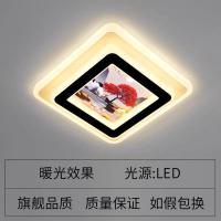 [单开暖光] [红树]方形[暗装] 过道灯走廊灯LED吸顶灯现代灯阳台灯玄关灯衣帽间灯厚板亚克力灯