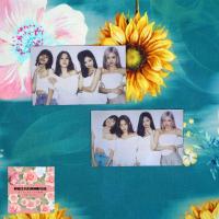 专辑卡集体2张 blackpink专辑小卡片blackpink特典卡小卡片正规一辑卡片官方同款