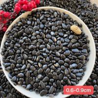 精品黑0.6-0.9cm 4斤 黑色雨花石抛光打蜡鹅卵石盆栽鱼缸小黑石子园艺铺地装饰园林石头