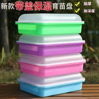 全新料绿色 加密盘+底盘(无盖)[1套] 豆芽种植盆芽菜豆苗水培托盘加密保温带盖无土栽培蔬菜育苗营养钵