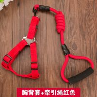 胸背带+牵引绳(红色) XS-建议3-8斤内 狗链狗狗牵引绳胸背带泰迪金毛狗绳猫绳小型犬小狗遛狗绳宠物用品