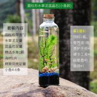 圆柱形蓝色第砂(小鱼款) 鱼缸客厅生态瓶鱼活体免换水免打理斗鱼小型鱼缸迷你微景观造景
