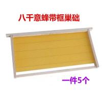 八千意蜂带框巢础(5个装) 八千成品巢框蜜蜂巢础带框巢脾中蜂蜂巢杉木蜂箱专用全套养蜂工具