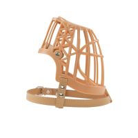 奶茶色 防咬防误食 2号适合10斤左右 柴犬狗狗嘴套防咬嘴罩防叫防乱吃小型犬宠物止吠柯基金毛小狗马犬