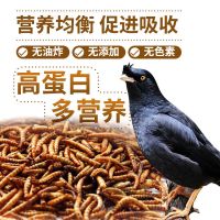 八哥鸟活鸟活物饲料面包虫干饲料鸟食虫干专用食粮鹩哥画眉鸟食粮