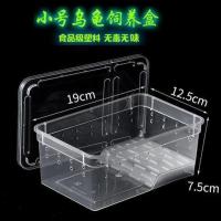 小号乌龟盒(透明) 两栖动物饲养盒小乌龟爬宠蜘蛛角蛙蜥蜴蜗牛饲养箱塑料爬虫宠物盒