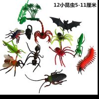 十二只小昆虫 大号仿真软体昆虫模型玩具蜘蛛蚂蚱瓢虫蝎子蚂蚁儿童认知蛊惑玩具