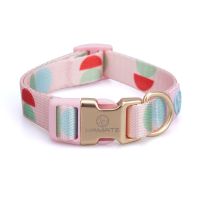 半圆蓝绿-项圈 XS-超小型 宠物狗狗项圈中小型犬狗圈泰迪比熊雪纳瑞外出牵引绳遛狗绳可调节