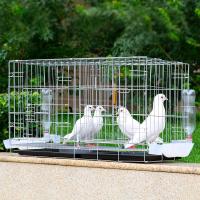 运输笼35*25*30 带托盘 鸽子笼养殖笼家用大号特大繁殖配对鸽子笼大型不锈钢色鸽子笼鸟笼
