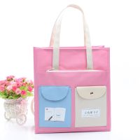 A1803蓝书本-粉色 小学生手提包作业补习袋男女学生考试补课防水可爱装书袋子补习包