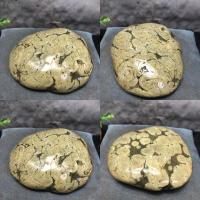 770克11-10-4厘米 乌龟晒台石头天然鹅卵石龟缸鱼缸观景石浮岛扁平造景爬石台晒背石