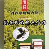 蜜蜂饲养原理与方法蜜蜂养殖技术GN箱蜜蜂蜂箱养蜂工具全套龚凫羌 蜜蜂饲养原理与方法蜜蜂养殖技术GN箱蜜蜂蜂箱养蜂工具全套