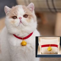 红色 S 宠物猫咪项圈幼猫项链挂饰小型犬小猫颈圈脖子装饰品狗狗铃铛脖圈