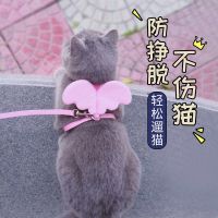 纯色黑色 小型 3-7斤使用 猫咪专用牵引绳拴猫绳溜猫绳子工字宠物胸背带成猫 猫链子牵引带