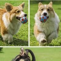 空心耐咬弹力海葵球(蓝色可水洗) 小号(小型犬) 狗猫宠物玩具球解闷自嗨耐咬咬不烂陪睡泰迪发光发声咬合发声幼犬