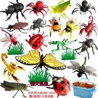 [精品]大昆虫套装+收纳箱+植物 特价仿真昆虫动物模型玩具瓢虫毛毛虫蝎子蜘蛛蜻蜓蜜蜂蚂蚱螳螂蝉