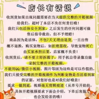 发粮食 非洲迷你刺猬刺猬宠物活体刺猬宠物刺猬宝宝刺猬活体宝宝宿舍小宠