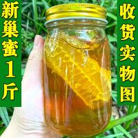 切块瓶装巢蜜1斤[嚼着吃]有巢也有蜜 野生蜂巢蜜百花蜂巢蜜封盖老巢土蜂蜜带巢野花蜂蜜500g嚼着吃瓶装