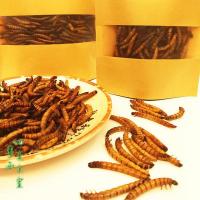 大麦虫干30克 血鹦鹉招财罗汉金龙鱼仓鼠刺猬八哥画眉鸟乌龟保鲜大麦虫宠物饲料